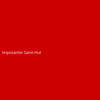 Imposanter Samt-Hut