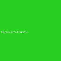 Elegante Granit-Rutsche