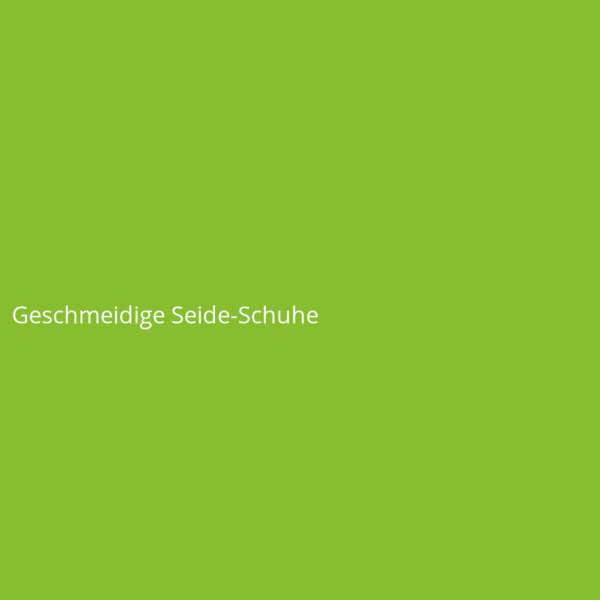Geschmeidige Seide-Schuhe