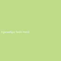 Eigenwilliges Seide-Hemd